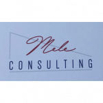 Mele Consulting
