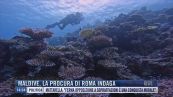 Breaking News delle 14.00 | Maldive, la Procura di Roma indaga