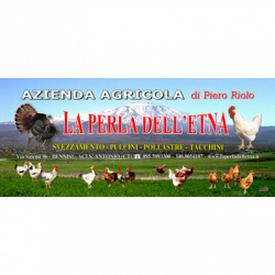 Azienda Agricola La Perla dell'Etna eredi di Riolo Pietro logo