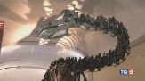 Dinosauri? Che affare!
