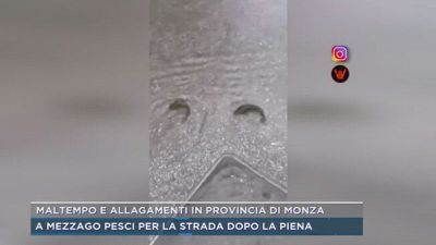 Maltempo e allagamenti in provincia di Monza