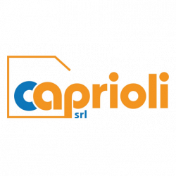 Caprioli Srl logo