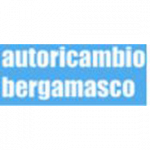Autoricambio Bergamasco