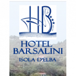 Hotel Barsalini logo