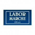 Labor Marche Stp S.r.l