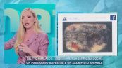 Delitto Garlasco, i post di Andrea Sempio sui social
