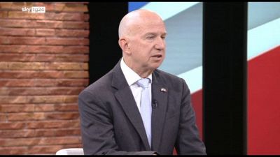 Maternità surrogata, Ambasciatore Usa: Preoccupati per alcuni diritti