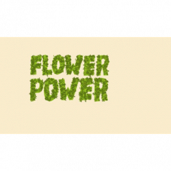 Flower Power Fioraio logo