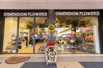 Dimension Flowers