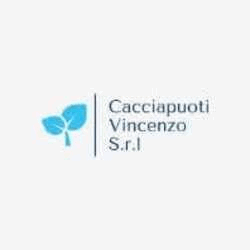Cacciapuoti Vincenzo logo