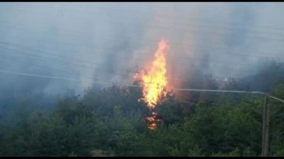 Il sud est della Turchia devastato dagli incendi