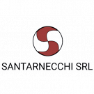 Santarnecchi
