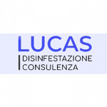 Lucas Disinfestazione Consulenza