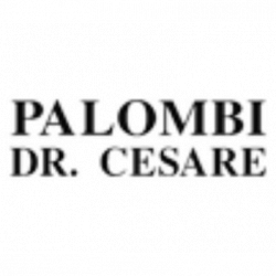 Palombi Dr. Cesare logo