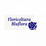 Floricoltura Bluflora