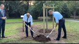 Wadephul a Roma, piantumato albero per 75 anni relazioni Italia-Germania