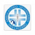 Ambulatorio Veterinario San Lazzaro