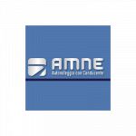 Amne - Azienda Mobilita' Nord Emilia