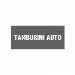 Tamburini Auto Concessionaria logo