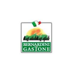 Bernardini Gastone logo