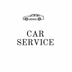 Car Service Srls - Driver Center Pirelli logo