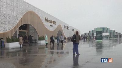 Cop29, mille miliardi per salvare la Terra