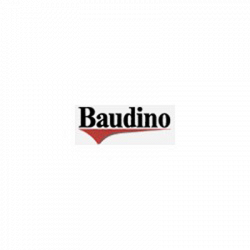 Baudino Casa S.r.l. logo