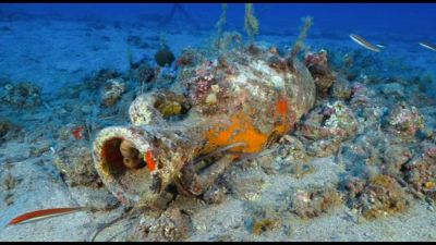 Nei fondali dell'Elba spuntano un dolium e i resti di un relitto