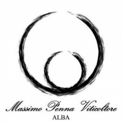Massimo Penna Viticoltore logo