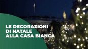 Alberi di Natale da tutti gli Stati Uniti illuminano Washington