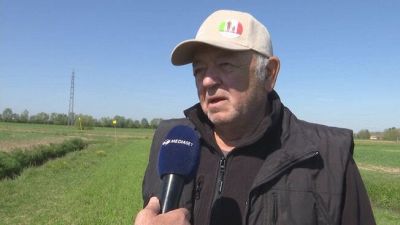 Non solo nutrie, in Veneto le campagne prese d'assalto dagli ibis