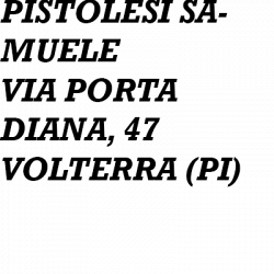 Pistolesi Samuele logo