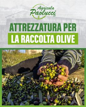 AGRICOLA PAOLUCCI