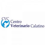 Centro Veterinario Calatino