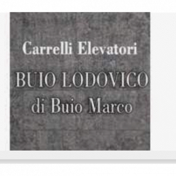 Buio Lodovico Snc logo