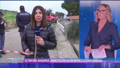 Ultim'ora: Bagheria, uomo ucciso da un branco di cani randagi