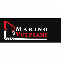 Marino Vulpiani Infissi logo