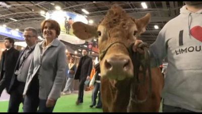 Oupette, la mucca mascotte del Salone dell'Agricoltura francese