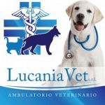 Lucania Vet