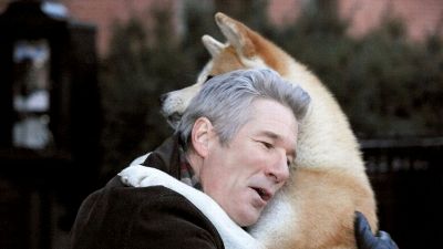 Stasera in TV: cosa vedere lunedì 25 dicembre, come The Italian Job