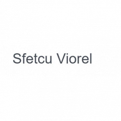 Impresa Edile Sfetcu Viorel logo