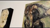 Raptor del Sol nel Basement di Fondazione Elpis