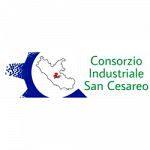 Consorzio Industriale San Cesareo