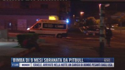 Breaking News delle 11.00 | Bimba di 9 mesi sbranata da pitbull
