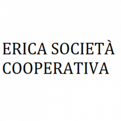 Erica srls logo