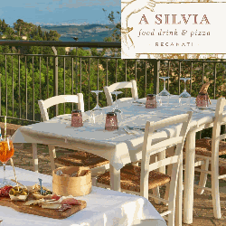 Ristorante A Silvia logo