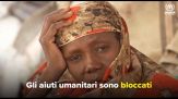 Alessandro Gassman dà voce all'appello dell'Unhcr per i rifugiati