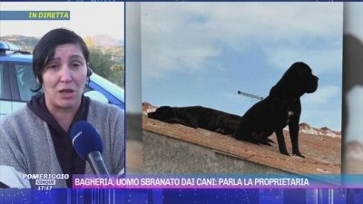 Bagheria, uomo sbranato dai cani: parla la proprietaria