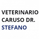 Veterinario Caruso Dr. Stefano