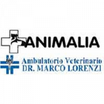Ambulatorio Veterinario Dr. Marco Lorenzi
